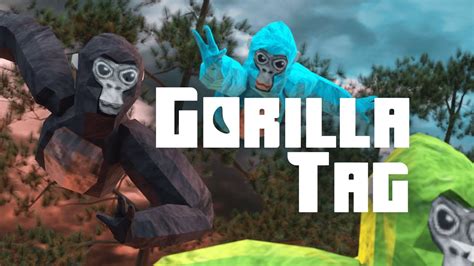 gorilla tag hentai|Every old Gorilla Tag version v1.0.1 and below.